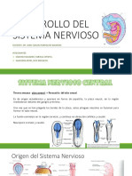 Desarrollo Embriologico Del Sistema Nerv