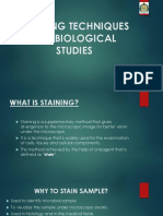 Staining Techniques in Biological Studies