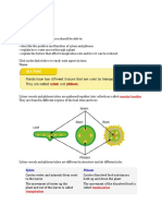 GCSE Biology Physiology Part 2 (Transport in Plants)