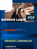 Principales Riesgos Laborales