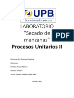 Informe de Secado de Manzanas