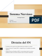 Sistema Nervioso PDF