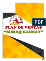 Plan de Ventas Heber PDF