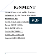 Chloroplast Assignment