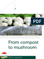 MushroomsGB NL