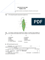 Euglena Verde