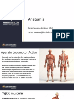 Uniminuto Anatomía 5