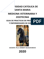 Practica 1 Sujeción Física y Química, Estimación Del Peso Del Caballo