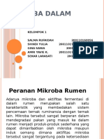 Mikroba Dalam Rumen