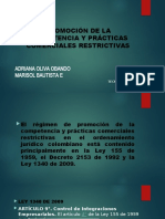 Promoción de La Competencia y Prácticas Comerciales Restrictivas