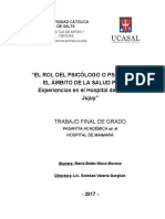 El Rol Del Psicólogo o Psicóloga en El Ámbito de La Salud Pública