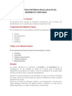 Significado y Definicion de Las Estructuras Halladas en Un Sedimento Urinario