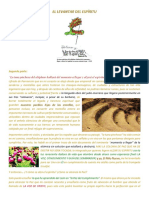 El Levantar Del Espíritu PDF