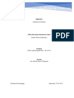 Control Interno Informatico