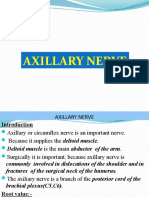 Axillary Nerve