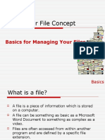 Computer File Concept: Basics For Managing Your Files