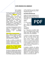 INFECCIÓN URINARIA EN EL EMBARAZO Ensayo