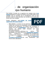 Niveles de Organización Del Cuerpo Humano