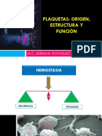 Plaquetas Megacariopoyesis y Hemostasia Primaria