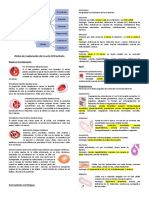 Resumen Protocolo 3 Hemato