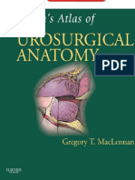 Hinmans+Atlas+of+UroSurgical+Anatomy Nodrm PDF