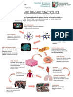 Respuestas A EVALUACIÓN N°1 PDF