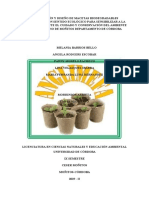 Elaboración y Diseño de Macetas Biodegradables 16