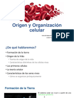 Origen Organización Celular