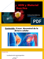 06 - CIENCIAS CIUDADANIA - Unidad 0 Cancer 3 Medios