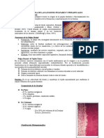 Etiopatogenia de Las Lesiones Pulpares y Periapicales