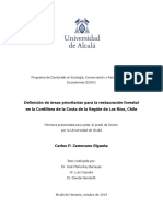 Tesis Carlos Zamorano PDF