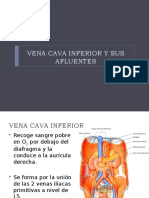 5.-Vena Cava Inferior y Sus Afluentes