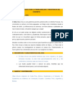 Ichu Como Agregado para La Trabajabilidad y Resistencia Del Concreto