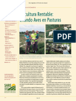 104-Avicultura Rentable PDF