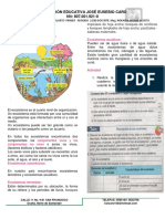 3 Taller 3 Ciencias Naturales 4 3 PDF