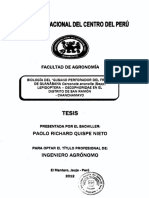 Tesis 374 PDF