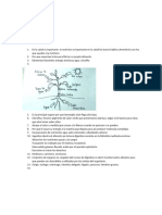 Santiago Molano Clei 3 Biologia