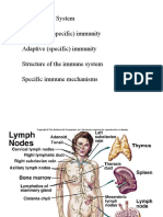 The Immune System Innate (Non-Specific) Immunity Adaptive (Specific) Immunity Structure of The Immune System Specific Immune Mechanisms