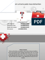 Adaptasi Sistem Urinaria Pada Masa Kehamilan