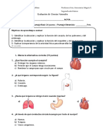 Evaluacion1cuerposhumano 1 PDF