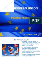 The European Union: Country Profile