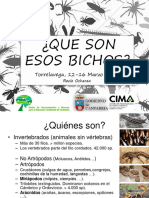 ¿Que Son Esos Bichos Generalidades