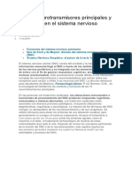 10 Neurotransmisores Principales y Su Función en El Sistema Nervioso