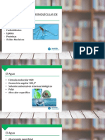 Clase N 1 El Agua Iones y Macromoleculas de Interes Biologico Metodo Cientifico y Teoria Celular 2019 2