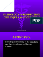 Pathology Introduction Cell Injury & Adoptation