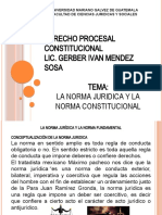 Diapositivas Derecho Procesal Constitucional