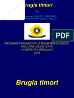 Brugia Timori (Untuk Presentasi)