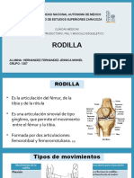 Rodilla