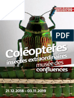 DP Coleopteres