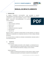 Informe Ambiental